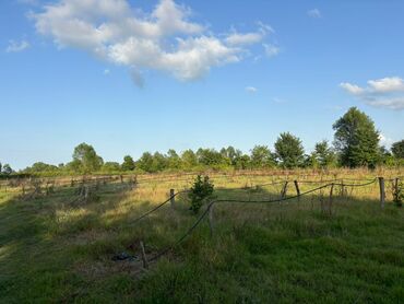 Torpaq sahələrinin satışı: 80 sot, Kənd təsərrüfatı, Mülkiyyətçi, Kupça (Çıxarış), Müqavilə — 4