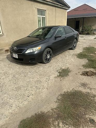 Toyota: Toyota Camry: 2010 г., 2.5 л, Автомат, Бензин, Седан — 5