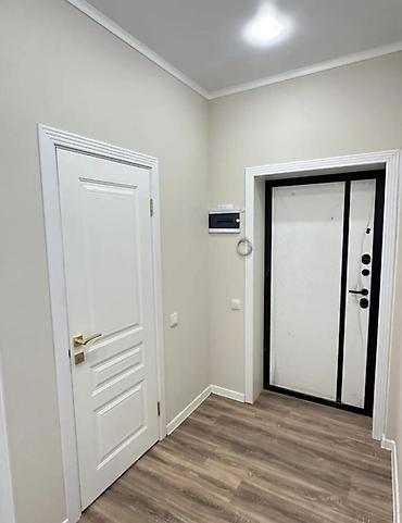 45: 1 комната, 45 м², Пишпек Элитка, 8 этаж, Евроремонт — 8