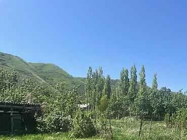 Продажа участков: 8 соток, Для строительства, Красная книга — 4