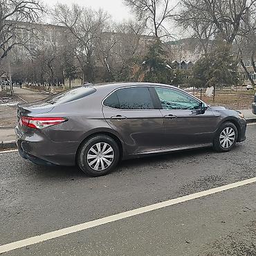 android avto: Toyota Camry: 2019 г., Автомат — 3