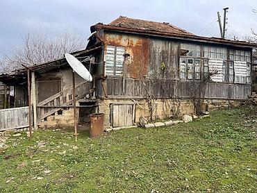 simental buzov satışı: 3 otaqlı, 100 kv. m, Kredit yoxdur, Orta təmir — 3