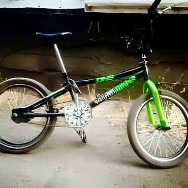 день сяпина: BMX велосипед, Б/у