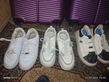 Düzləşdiricilər və ütüfenlər: Ütü fen Sonashi, 240 - 250 °C, İşlənmiş, Pulsuz çatdırılma, Ünvandan götürmə — 10