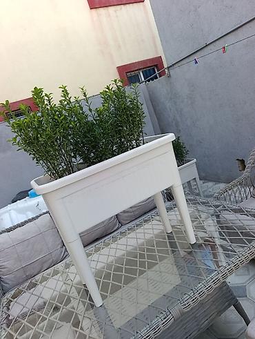 Digər daşınmaz kommersiya əmlakı icarəsi: Bag evlərinə villalara həyət evlərinə, bina evlərinə baglarina -da lalafo.az — 14 Digər daşınmaz kommersiya əmlakı icarəsi: Bag evlərinə villalara həyət evlərinə, bina evlərinə baglarina — 14