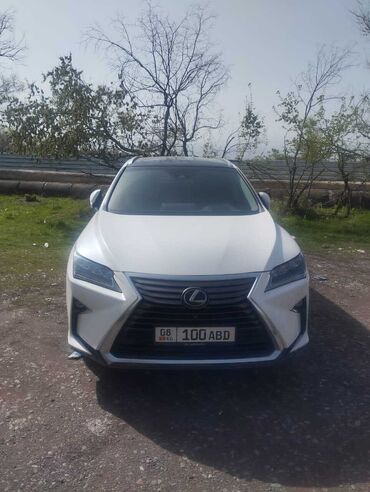 Lexus: Lexus RX белого цвета с черной крышей. Этот кроссовер сочетает в себе