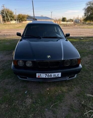 полироль авто: BMW 525: 1991 г., 2.5 л, Механика, Бензин, Седан