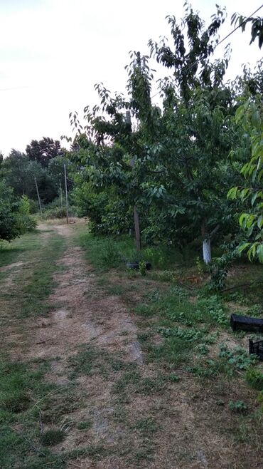 Torpaq sahələrinin satışı: 90 sot, Mülkiyyətçi, Kupça (Çıxarış) — 9