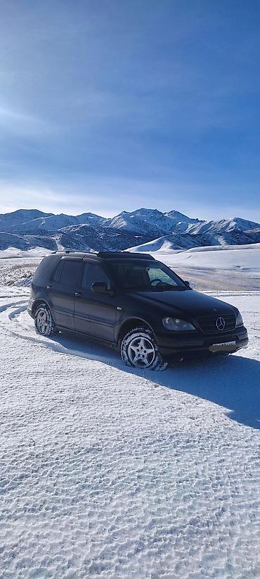mersedes e class: Mercedes-Benz M-Class: 2001 г., 2.7 л, Типтроник, Дизель, Кроссовер — 1