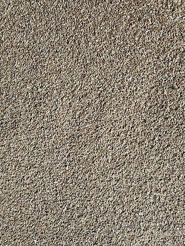 Корма для с/х животных: Силос, буудай, беде спарцет арпа урук та бар сатылат. Сапаты жакшы — 1