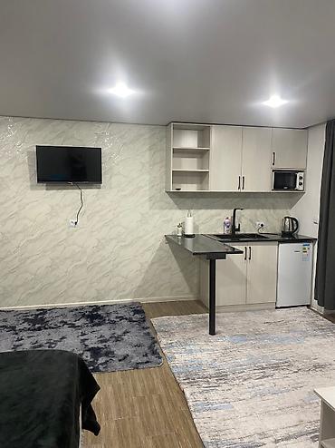 Посуточная аренда квартир: 1 комната, Бронь — 3