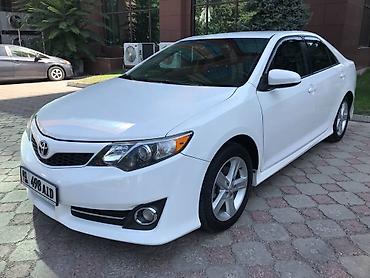 link in bio: Сдаю Toyota RAV4, Посуточно, Без водителя, | Залог, Предоплата, Водительские права — 5