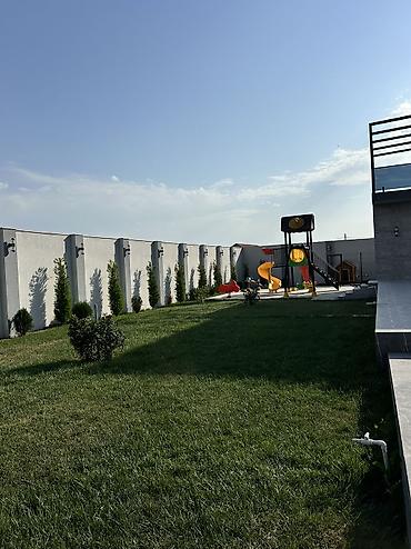 dəniz məhsulları satışı: 1kvm = 3₼ • Azərbaycanın bütün bölgələrinə çatdırılma var. • Ucuz — 9