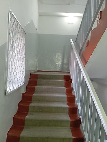 Покраска: Покраска стен, Покраска потолков, Покраска окон, На масляной основе, На водной основе, Больше 6 лет опыта — 2