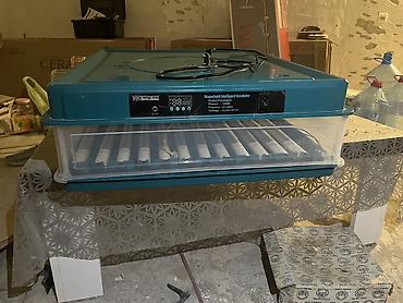 ingubator: Məhsul: Household Intelligent Incubator – ağıllı ev inkubatoru — 2