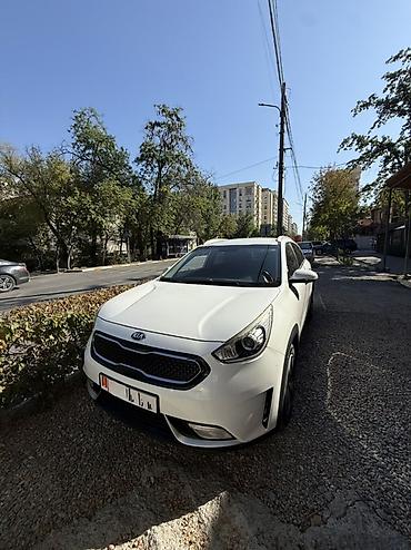 диска черепаха: Kia Niro: 2018 г., 1.6 л, Автомат, Гибрид, Кроссовер — 2