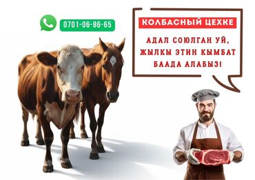 кондитерское оборудование: Говядина 