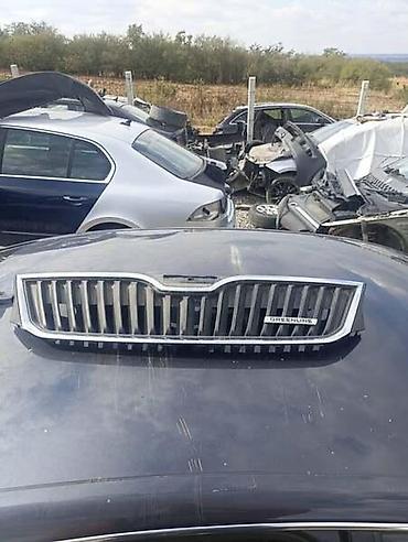 auto šabac: MASKA ZA ŠKODA RAPID OD 2013. DO 2019. GOD. | SKODA RAPID 9.GOD — 4