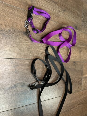 купить ошейник для щенка: Ошейник с поводком для собак, подойдут для маленького щенка или