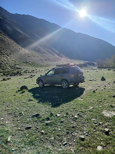 forester sg9: Subaru Forester: 2009 г., 2 л, Автомат, Газ, Кроссовер — 4