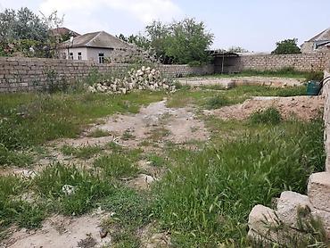 Torpaq sahələrinin satışı: 3 sot, Bələdiyyə -da lalafo.az — 14 Torpaq sahələrinin satışı: 3 sot, Bələdiyyə — 14