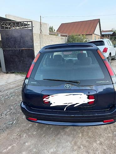крокодил для машины: Toyota Corolla: 2000 г., 1.6 л, Механика, Универсал — 4