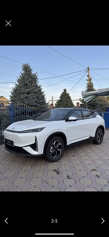 lexus windom: Dongfeng : 2026 г., Электромобиль — 5