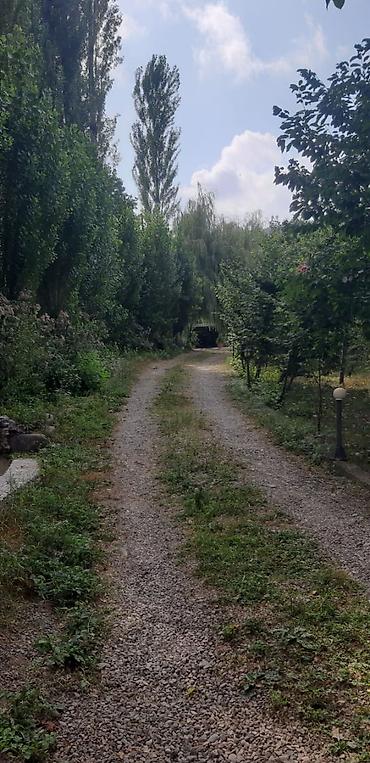 Həyət evləri və villaların satışı: 7 otaqlı, 600 kv. m, Kredit yoxdur, Yeni təmirli — 6