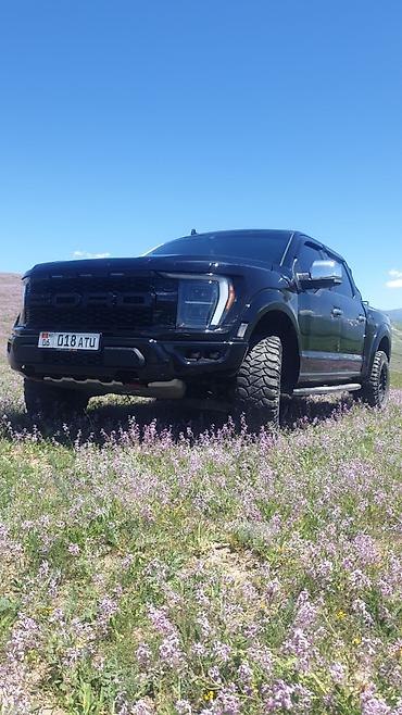 тоя пистолет: Ford F-150: 2019 г., 3.5 л, Автомат, Бензин, Пикап — 7