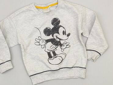 swetrowe kamizelki: Sweatshirt, 2-3 years, 92-98 cm, condition - Very good