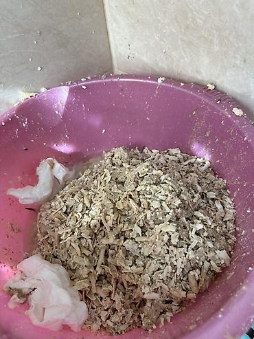 Ремонт обогревателей: Профессиональная чистка и обслуживание водонагревателей Ariston (и — 7