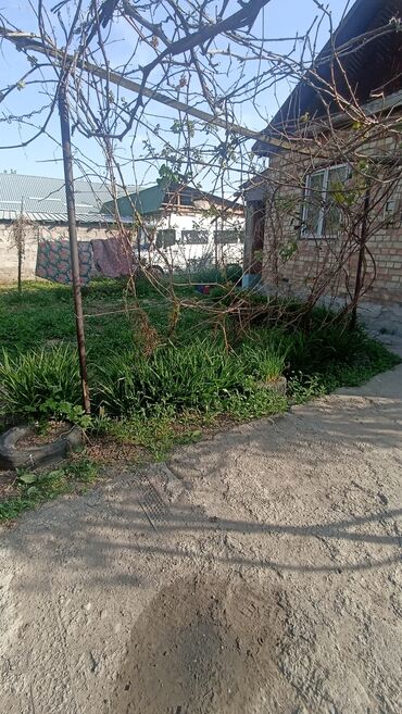 Долгосрочная аренда домов: Дом Село достук 8-я линия д 32 кирпич з комнаты отопление печное — 8