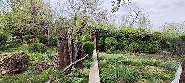 Продажа дач: Продаётся дача с домом и ухоженным участком (с. Нижняя Серафимовна, ДТ — 16