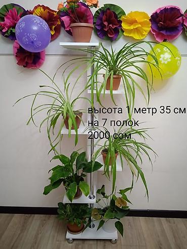 витринные вешалки: Этажерки для комнатных растений Варианты: - Белая, 10 полок, высота 1 — 10