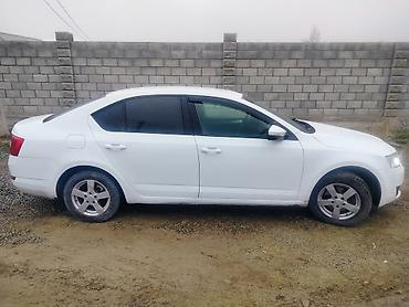 Skoda: Skoda Octavia: 2016 г., Седан — 6
