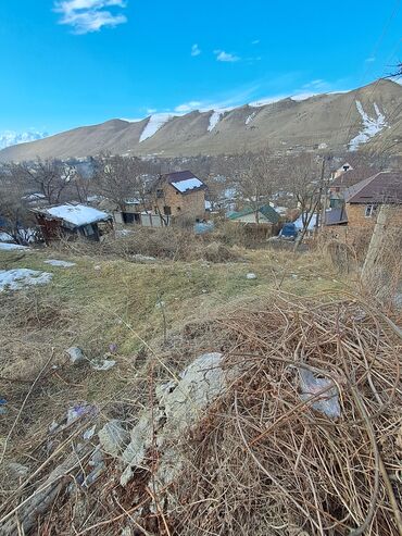 Жер тилкелери: 8 соток, Кызыл китеп