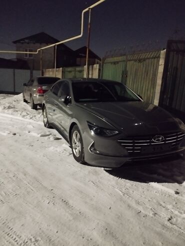 Hyundai: Родной краска