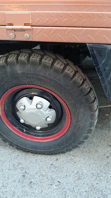 dort teker motor: Ural - Muravey, 200 sm3, 300 km — 5