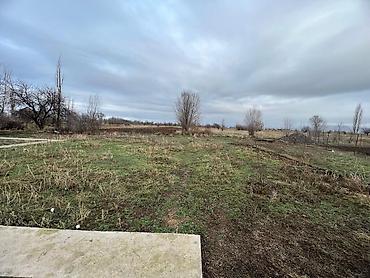 Продажа сельхоз предприятий: Продаётся сельхозобъект/участок под фермерское хозяйство — 6