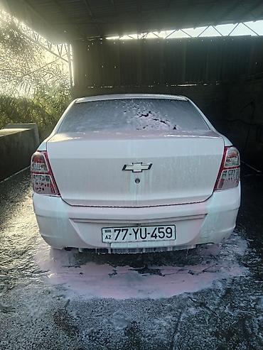 chery tiggo 2 pro: Chevrolet Cobalt: 1.5 l | 2024 il 199000 km Sedan — 10