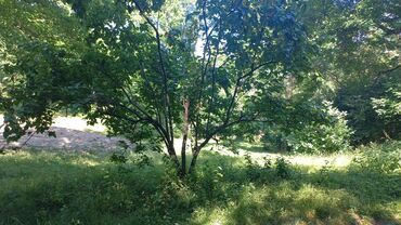 Həyət evləri və villaların satışı: 4 otaqlı, 135 kv. m, Kredit yoxdur, Təmirsiz — 8