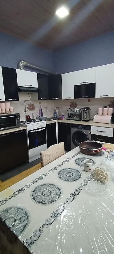 nar agacı: Maştağa Ləhic bağlarında dənizə 2 kilometir məsafədə hər bir şəraiti — 9