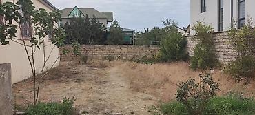 Torpaq sahələrinin satışı: 8 sot, Tikinti, Kupça (Çıxarış) — 4