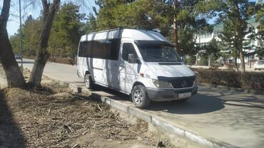 спринтер пассажирский г ош: Mercedes-Benz Sprinter: 2003 г., 2.7 л, Механика, Дизель