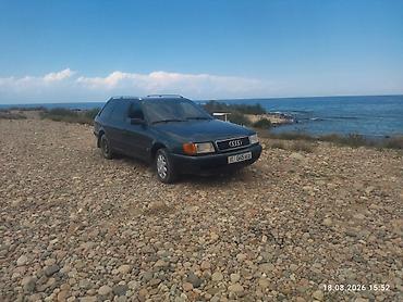 jac 9: Audi 100: 1993 г., 0.2 л, Механика, Бензин, Универсал — 3