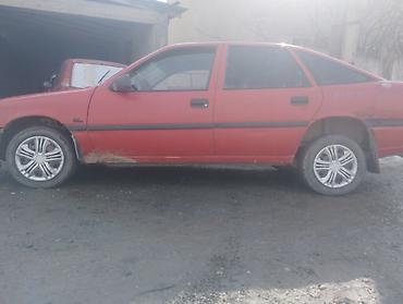 Opel: Opel Vectra: 1993 г., 1.6 л, Механика, Бензин, Хэтчбэк — 1
