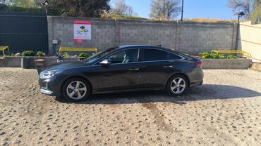 Hyundai: Hyundai Sonata: 2018 г., 2 л, Автомат, Бензин, Седан — 4
