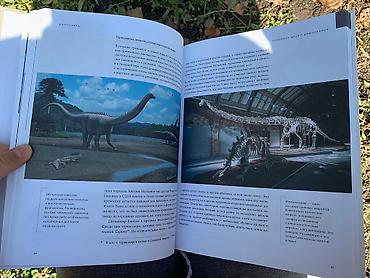 Другие книги и журналы: Книга «Динозавры» Новая, покупали в Букингем, нигде не порвано, не — 8