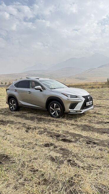 электро машины цена: Lexus NX: 2018 г., 2.5 л, Вариатор, Гибрид, Кроссовер