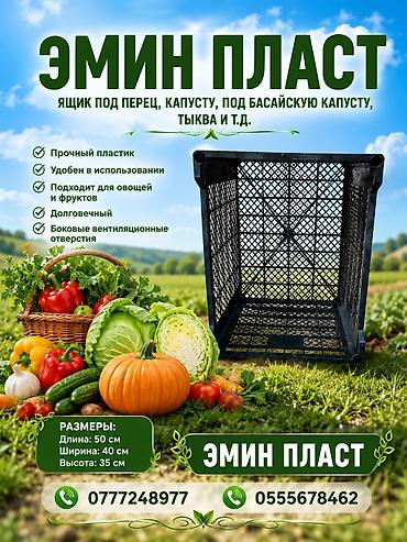 Ящик пластиковый «Эмин Пласт» для овощей и фруктов - Назначение: для